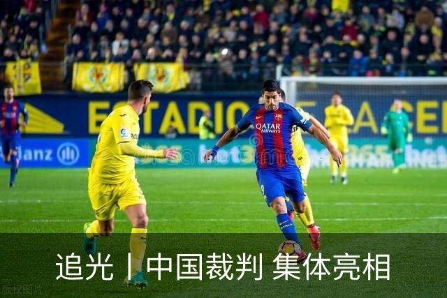 追光丨中国裁判 集体亮相